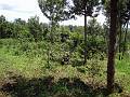 126 Vida natuurschoon